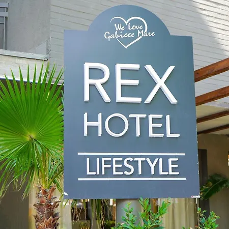 Rex - Lifestyle