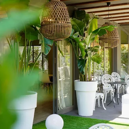 Rex Hotel Gabicce Mare
