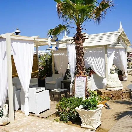 Rex - Lifestyle Gabicce Mare