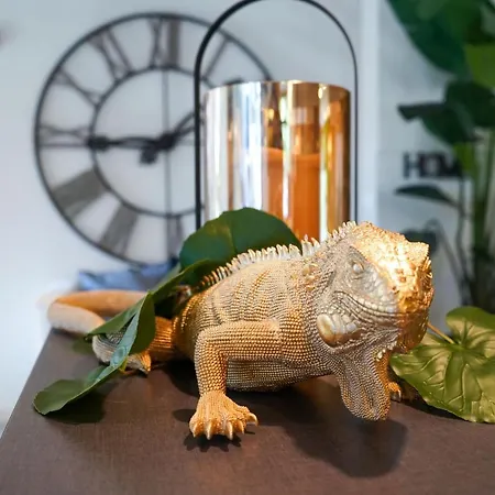 호텔 Rex 가비체 마레