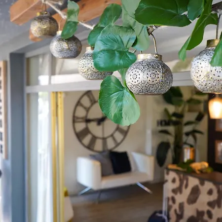 Hotel Rex - Lifestyle