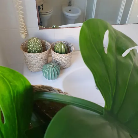 Hotel Rex - Lifestyle Gabicce Mare