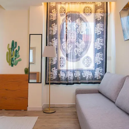 Rex - Lifestyle Gabicce Mare